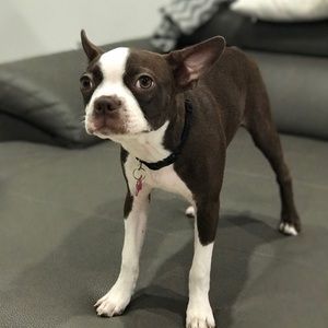 Meet your Posher, Hansell